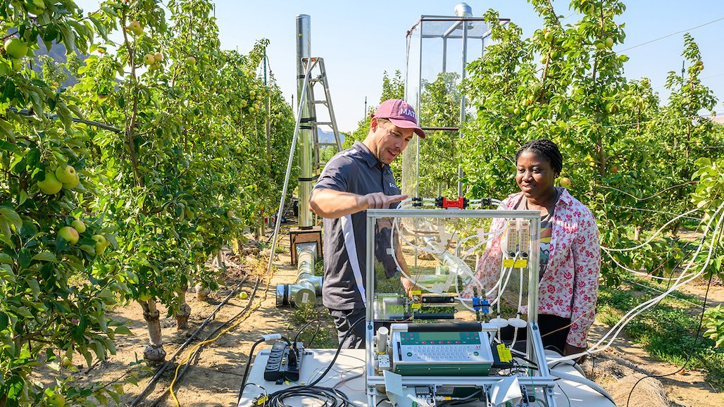 Protecting Apples & Pears in Extreme Temperatures